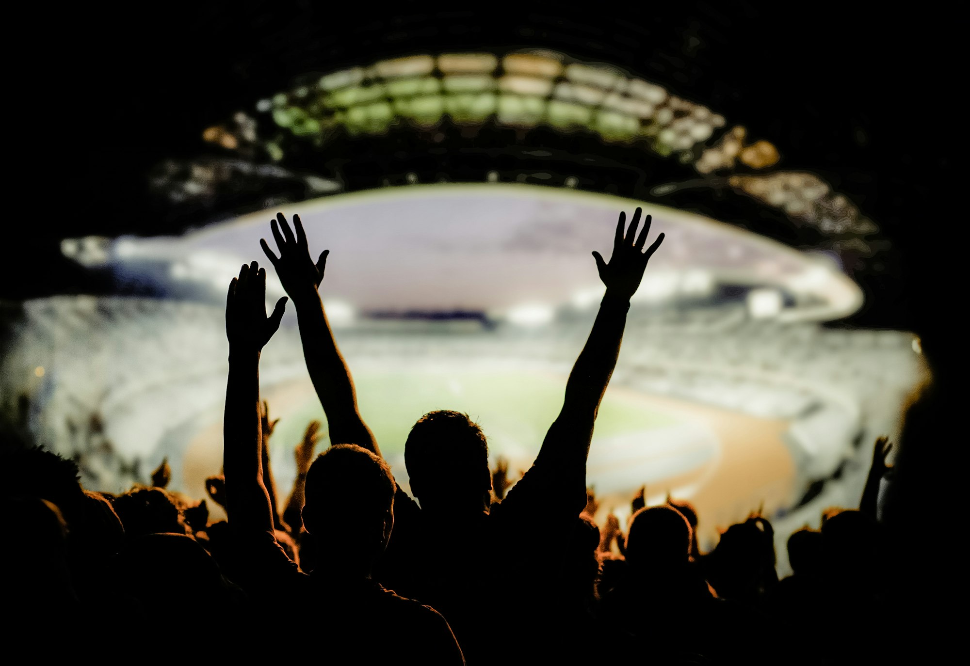 football or soccer fans at a game in a stadium world cup